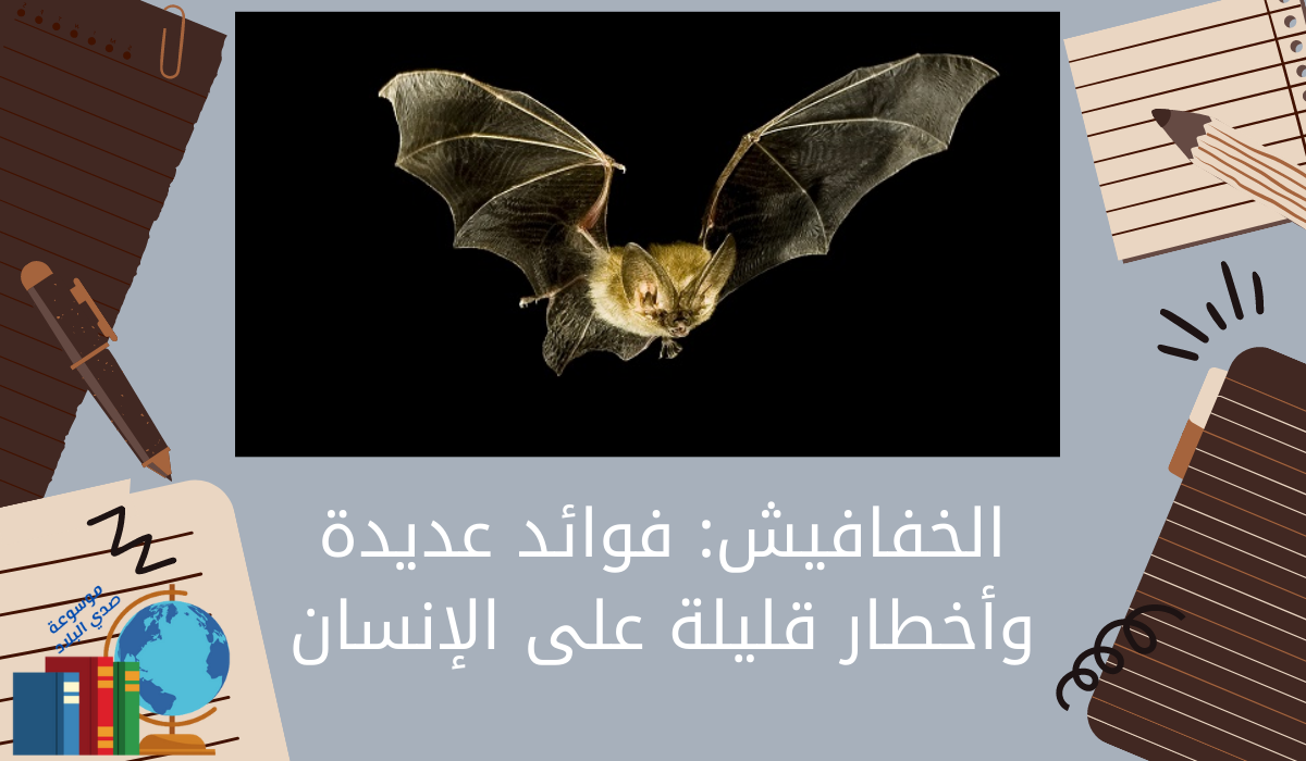 الخفافيش فوائد عديدة وأخطار قليلة على الإنسان