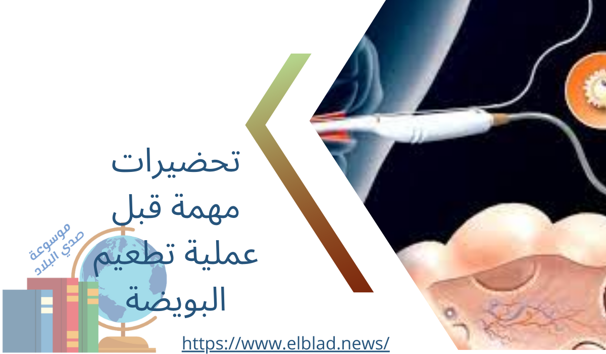 تحضيرات مهمة قبل عملية تطعيم البويضة