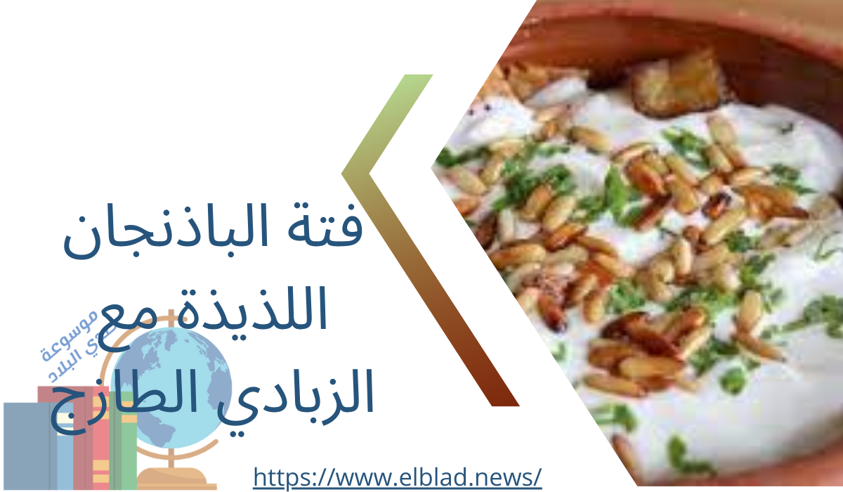 فتة الباذنجان اللذيذة مع الزبادي الطازج