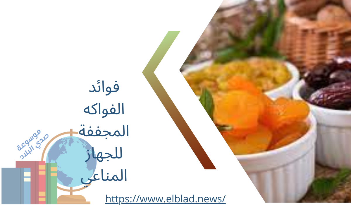 فوائد الفواكه المجففة للجهاز المناعي