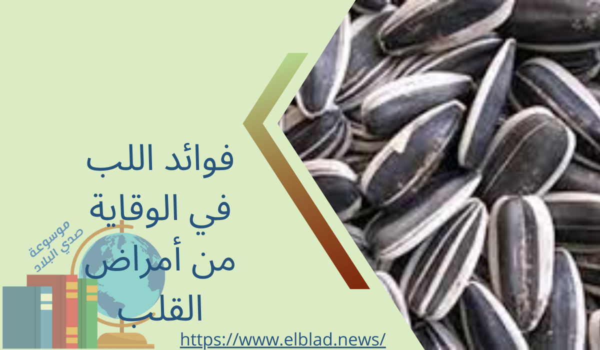 فوائد اللب في الوقاية من أمراض القلب