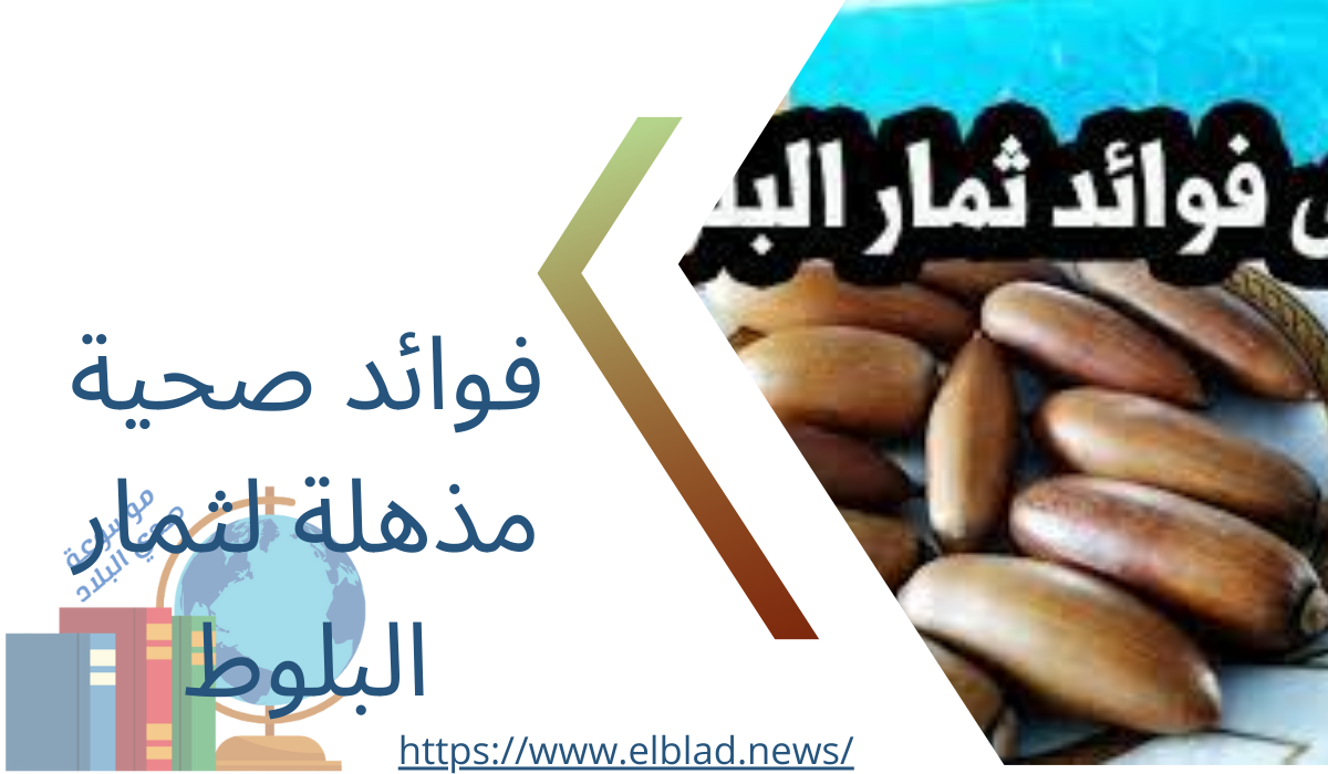 فوائد صحية مذهلة لثمار البلوط