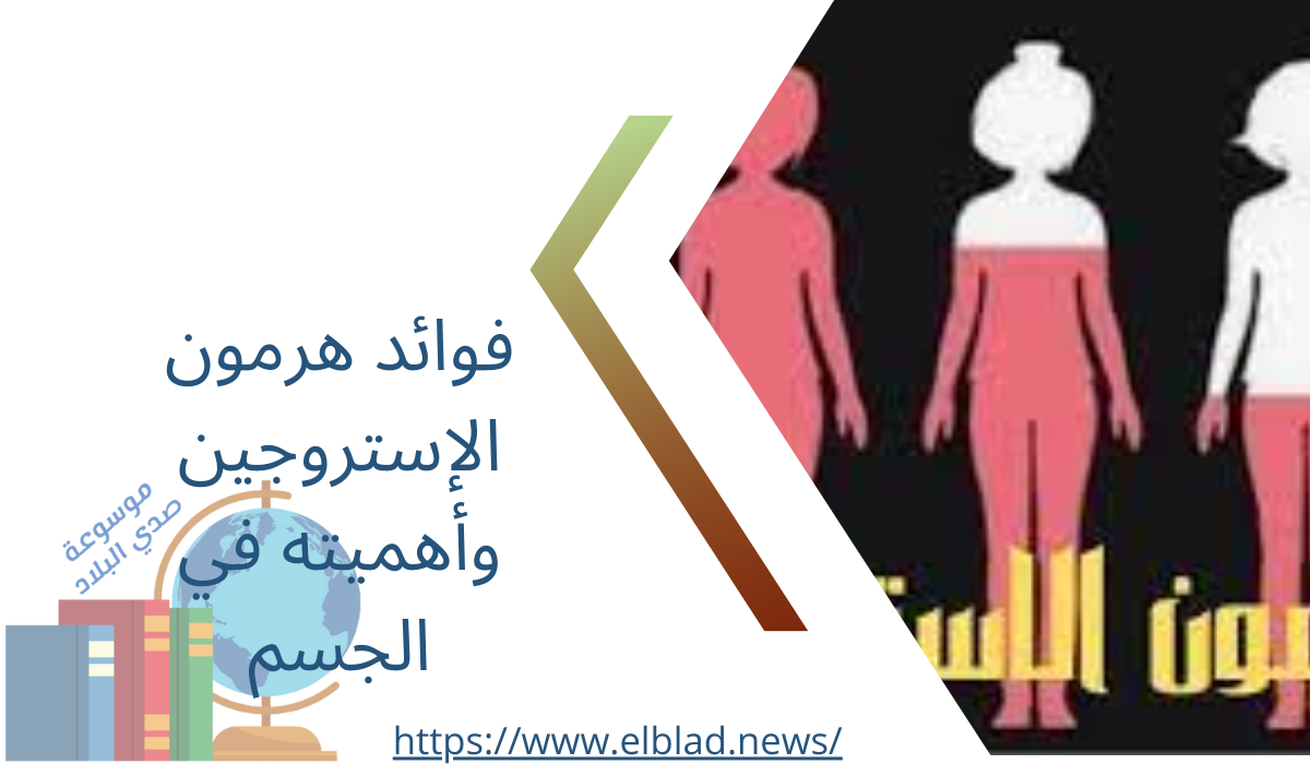 فوائد هرمون الإستروجين وأهميته في الجسم