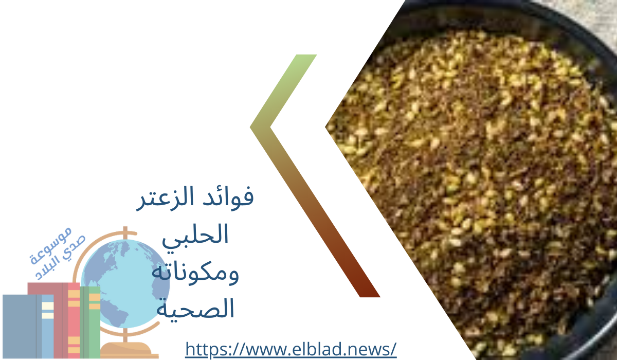 فوائد الزعتر الحلبي ومكوناته الصحية