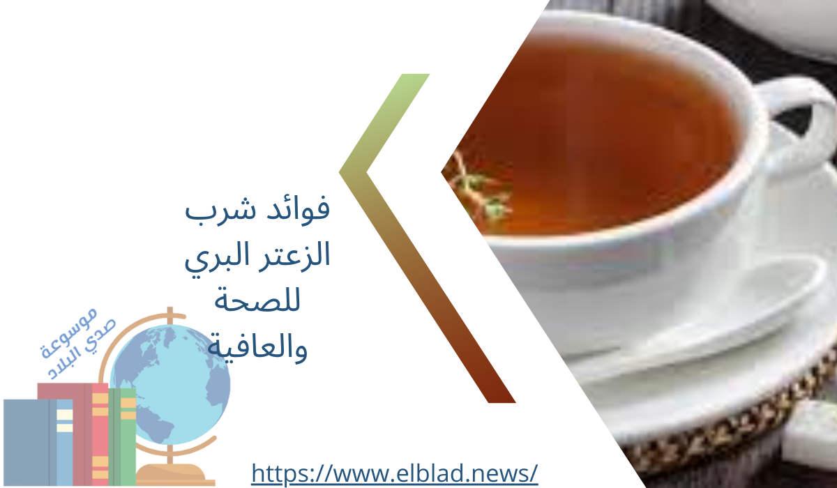 فوائد شرب الزعتر البري للصحة والعافية