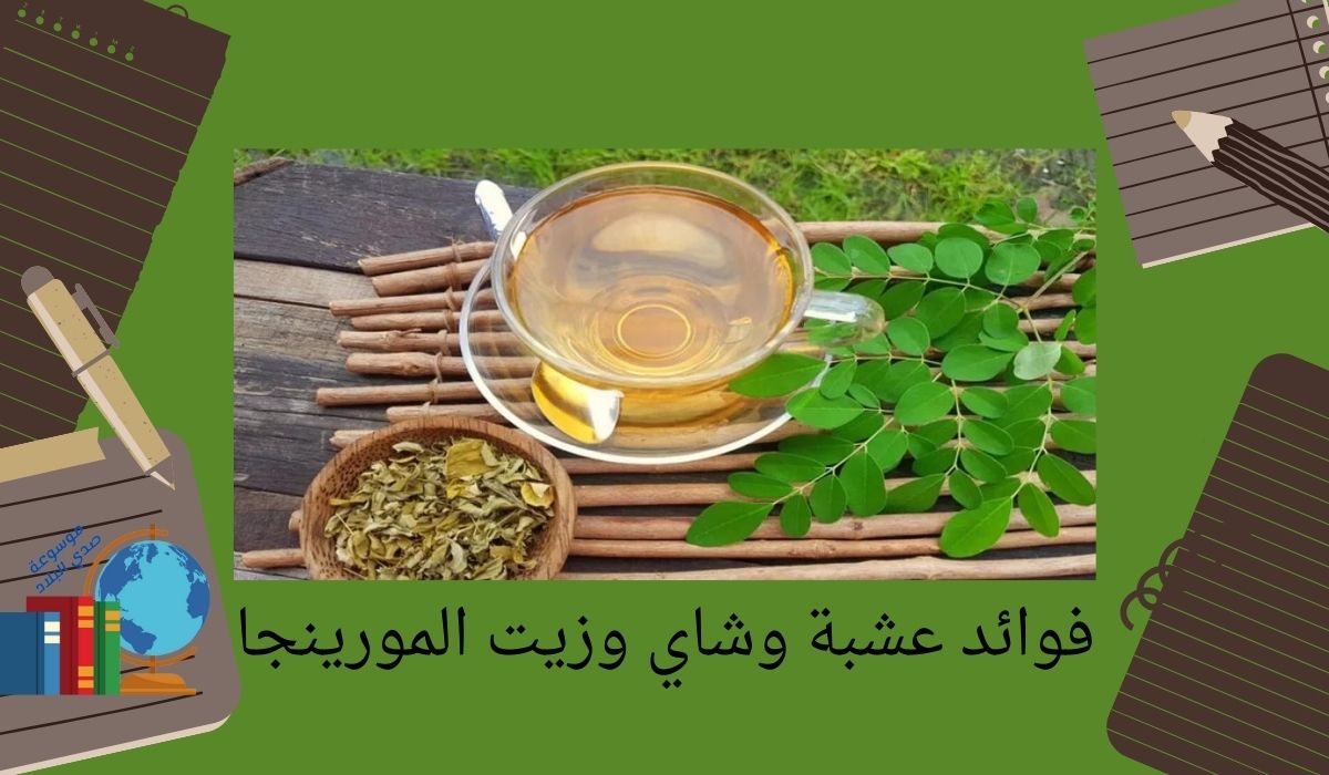 فوائد عشبة وشاي وزيت المورينجا