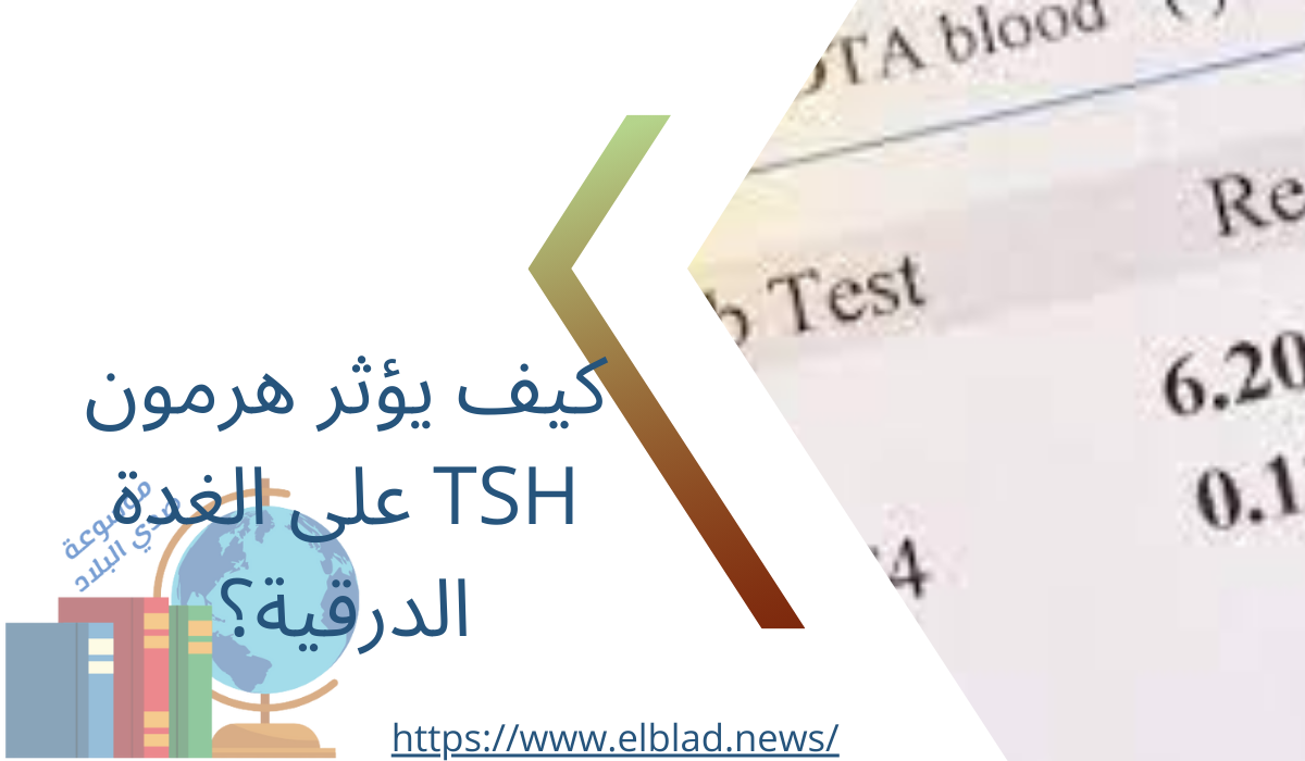 كيف يؤثر هرمون TSH على الغدة الدرقية؟