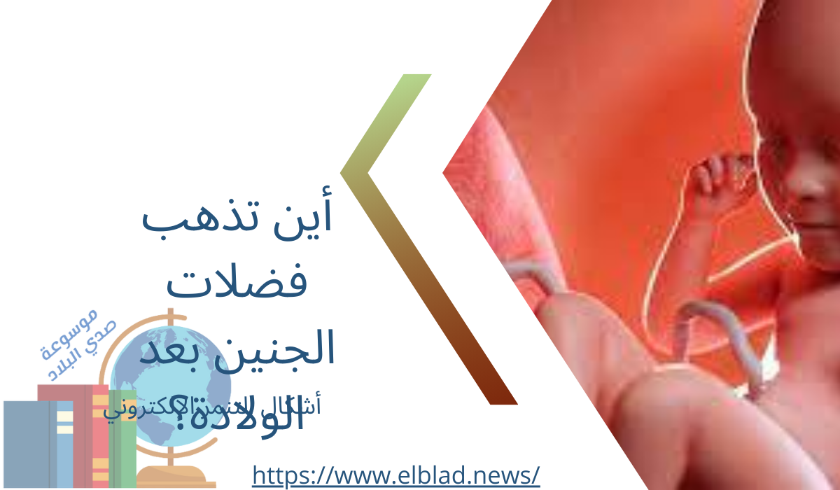 أين تذهب فضلات الجنين بعد الولادة؟