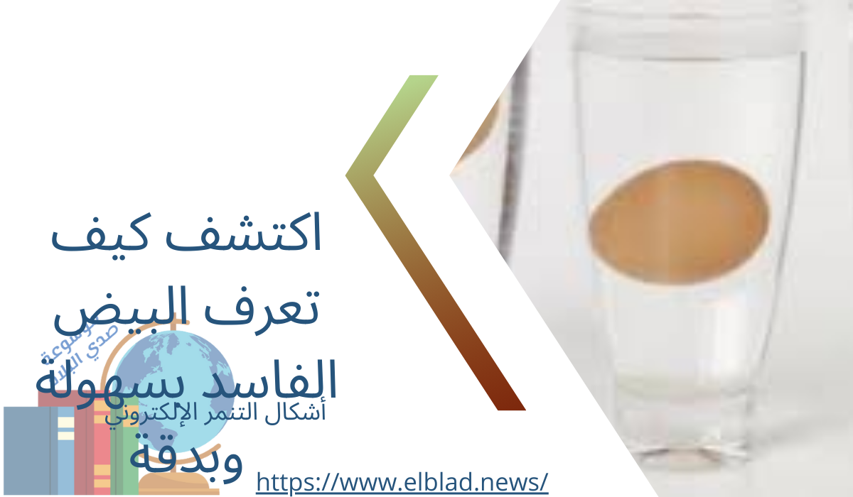 اكتشف كيف تعرف البيض الفاسد بسهولة وبدقة