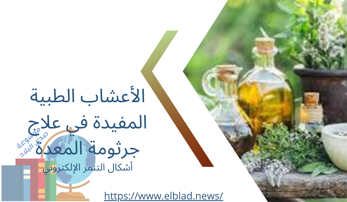 الأعشاب الطبية المفيدة في علاج جرثومة المعدة