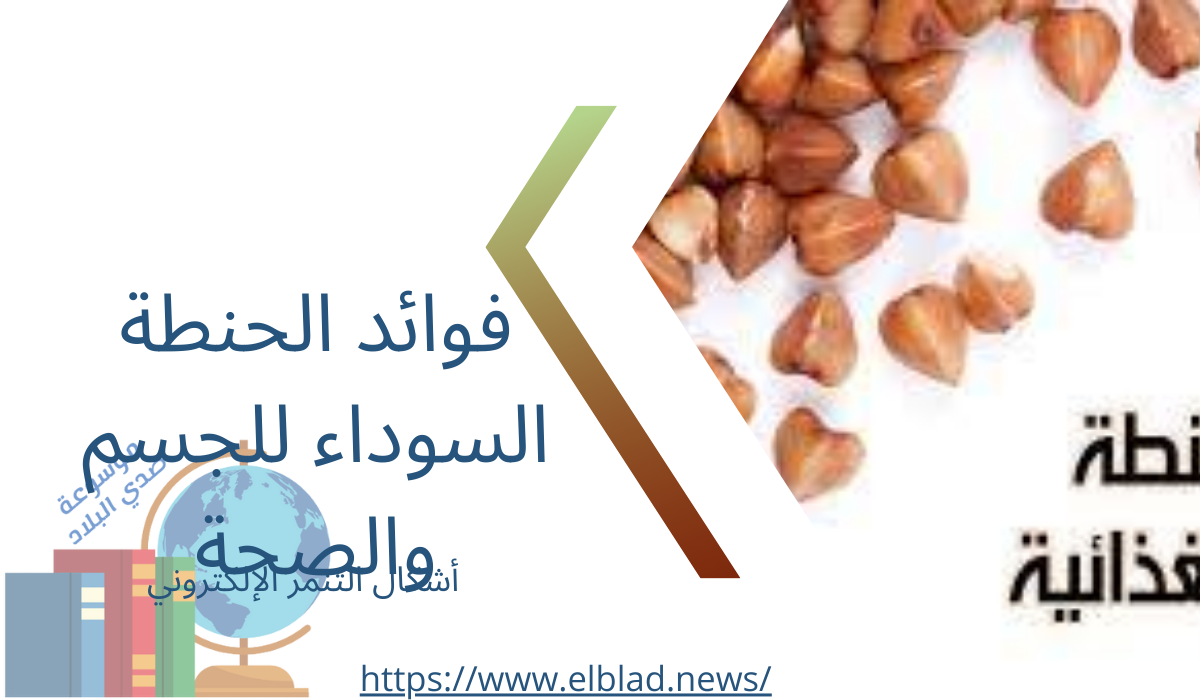 فوائد الحنطة السوداء للجسم والصحة