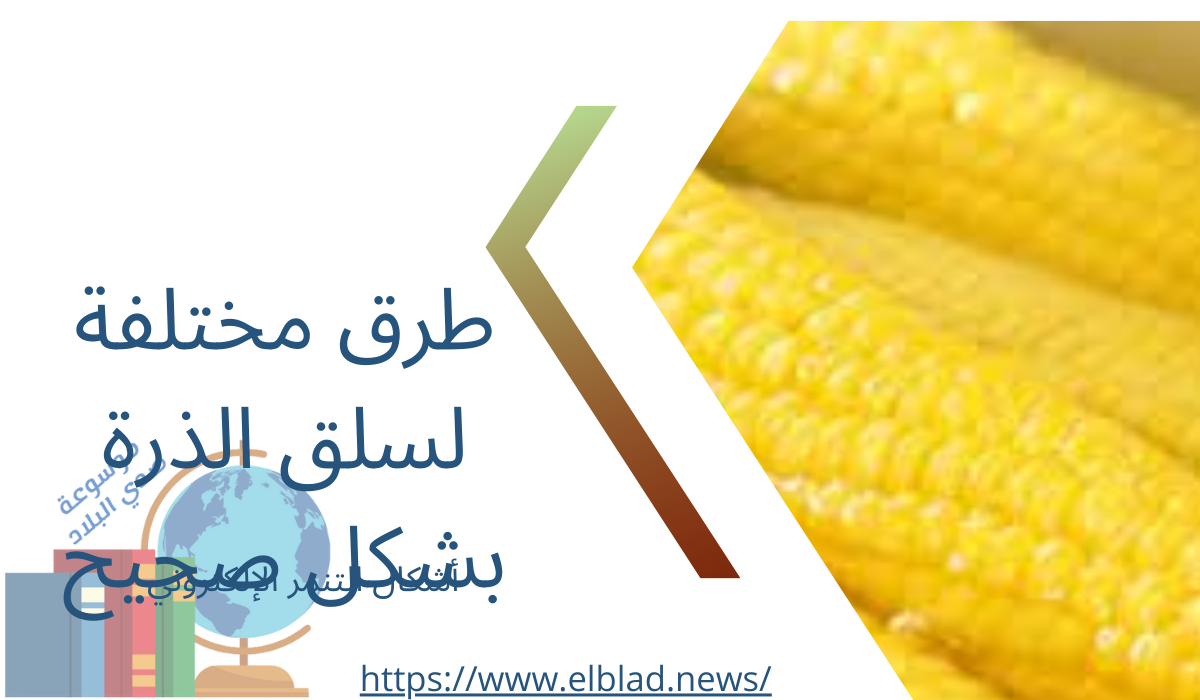 طرق مختلفة لسلق الذرة بشكل صحيح