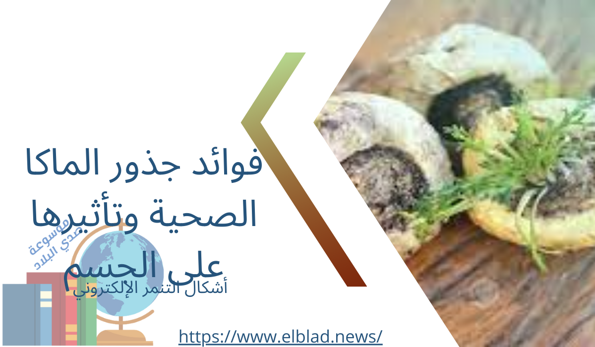 فوائد جذور الماكا الصحية وتأثيرها على الجسم