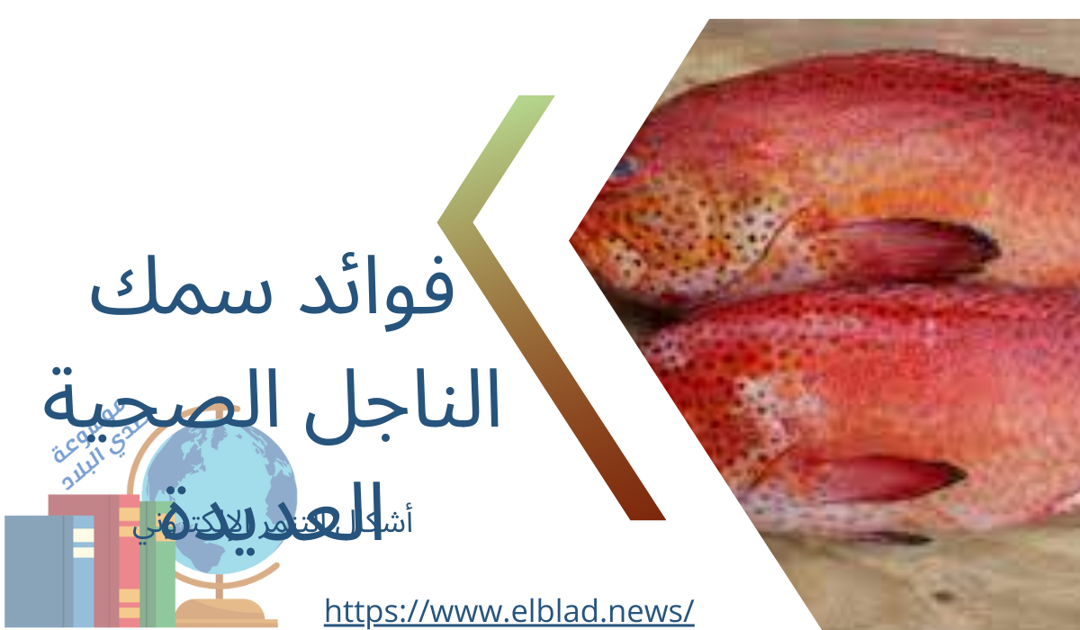 فوائد سمك الناجل الصحية العديدة