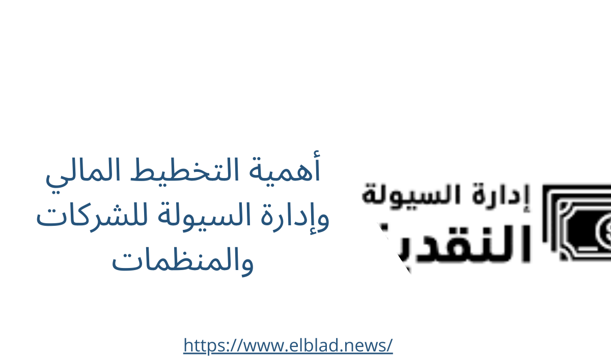 أهمية التخطيط المالي وإدارة السيولة للشركات والمنظمات