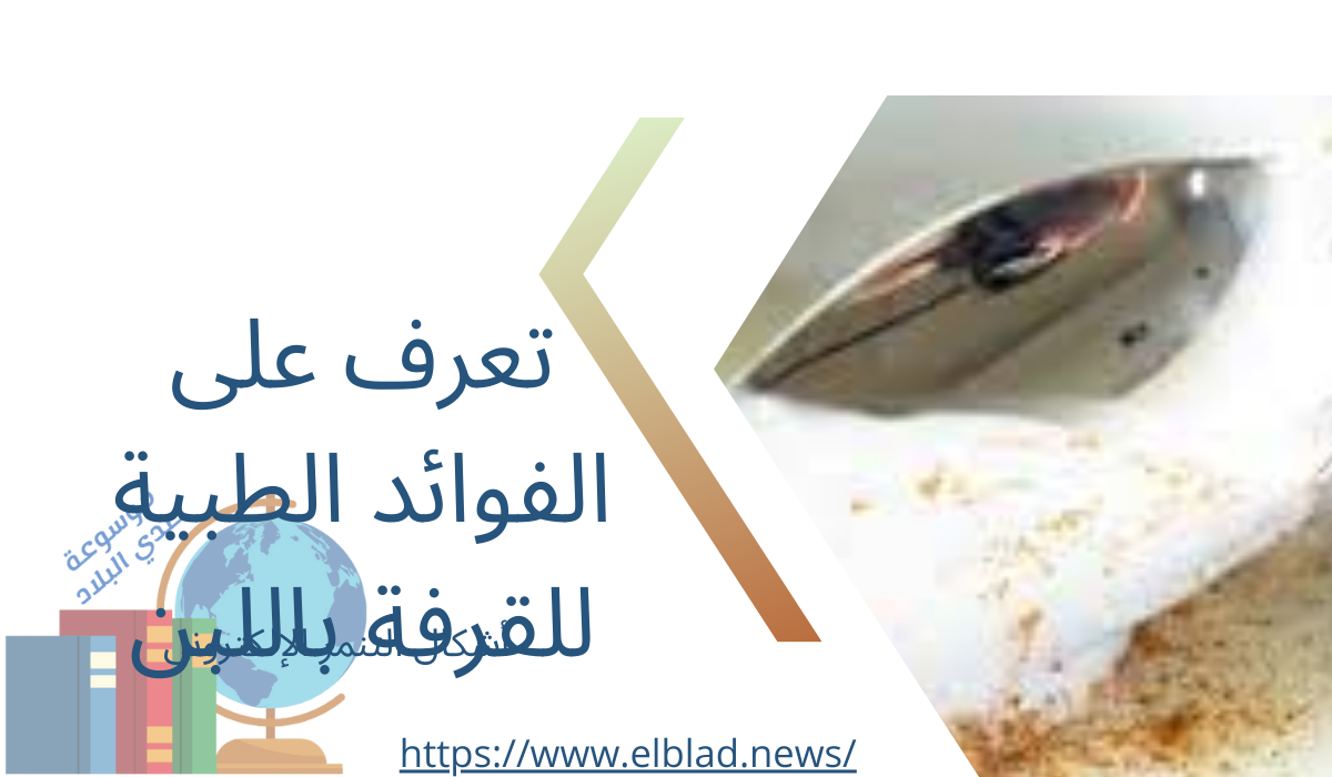 تعرف على الفوائد الطبية للقرفة باللبن