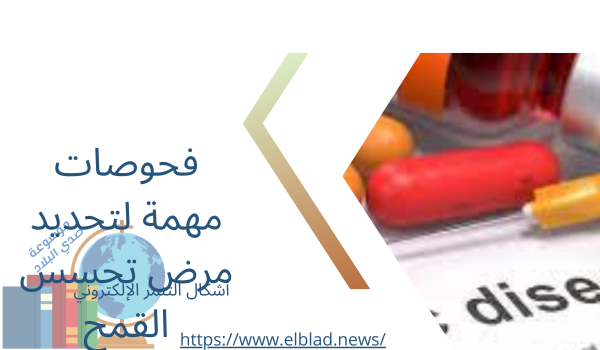 فحوصات مهمة لتحديد مرض تحسس القمح