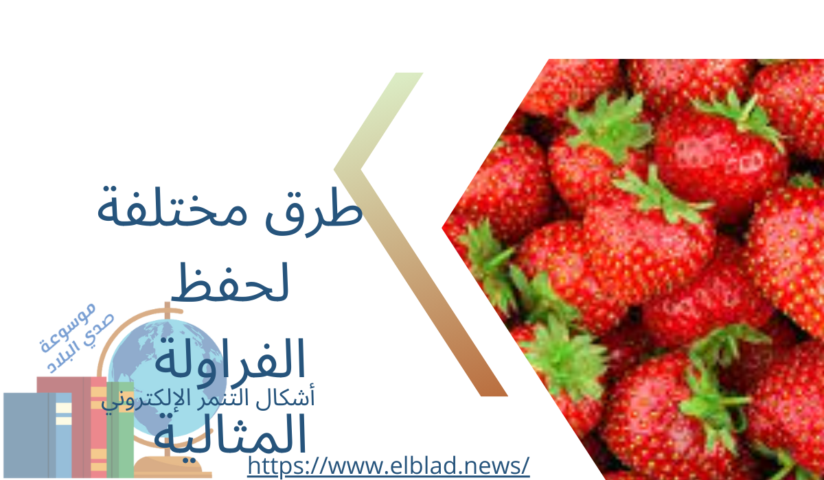 طرق مختلفة لحفظ الفراولة المثالية