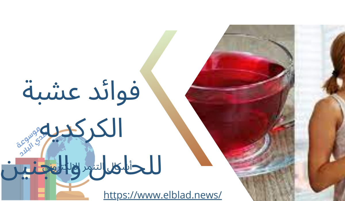 فوائد عشبة الكركديه للحامل والجنين