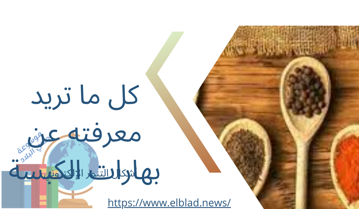 كل ما تريد معرفته عن بهارات الكبسة