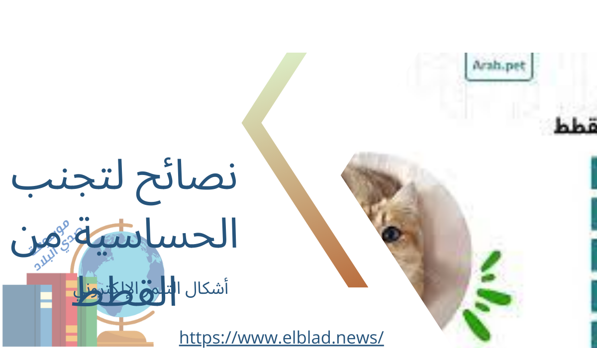 نصائح لتجنب الحساسية من القطط